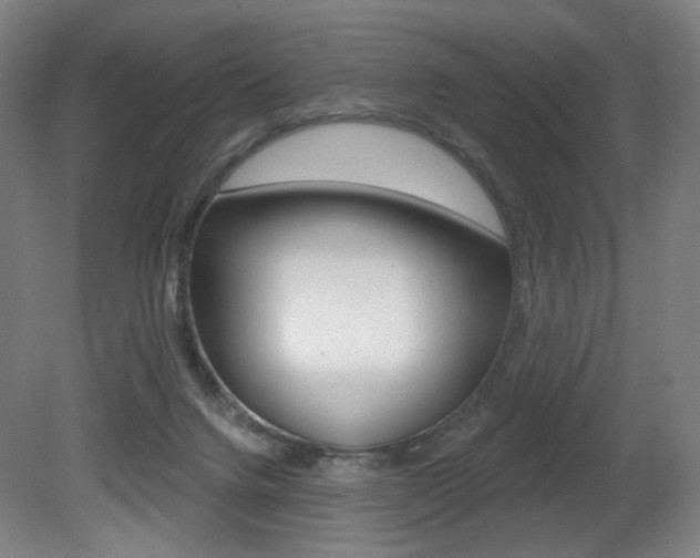 X0000080740072200612150943