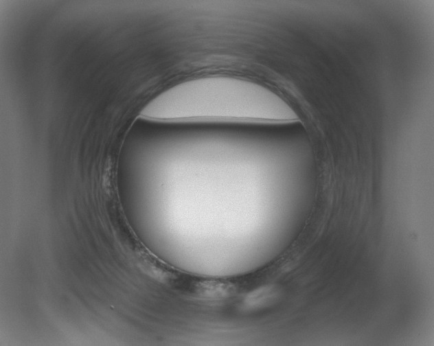 X0000080740073200612150943
