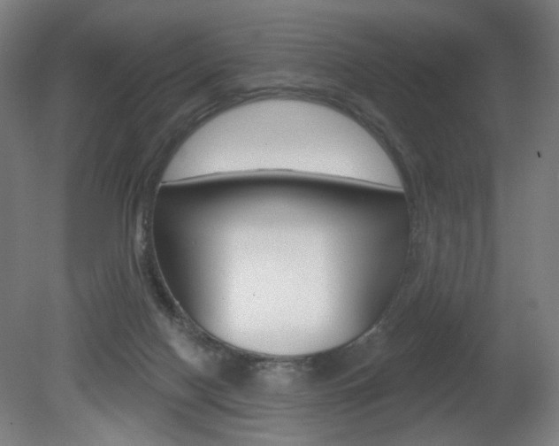 X0000080740074200612150943