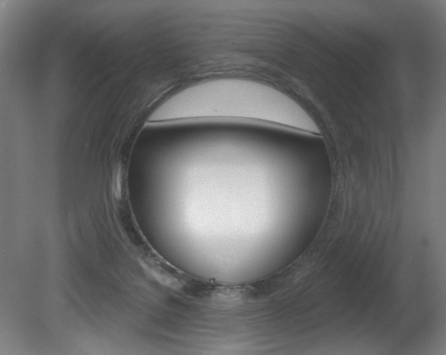 X0000080740076200612150943