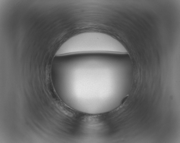 X0000080740078200612150943