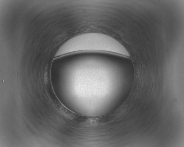 X0000080740080200612150943