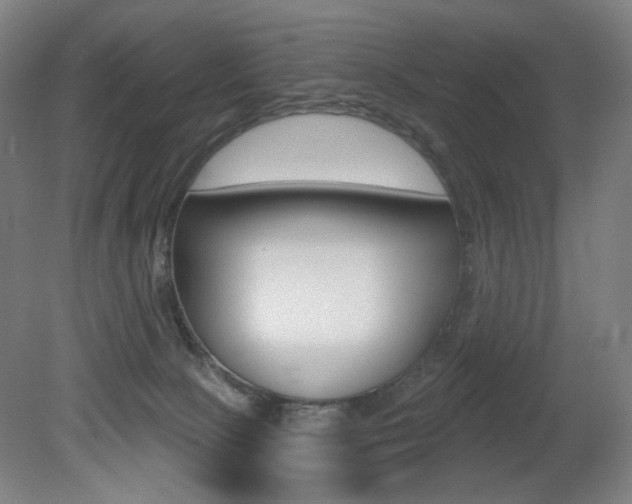 X0000080740081200612150943