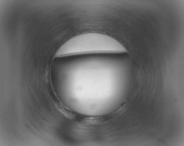 X0000080740082200612150943