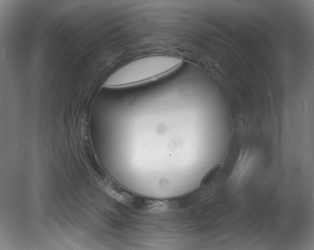 X0000080740083200612150943