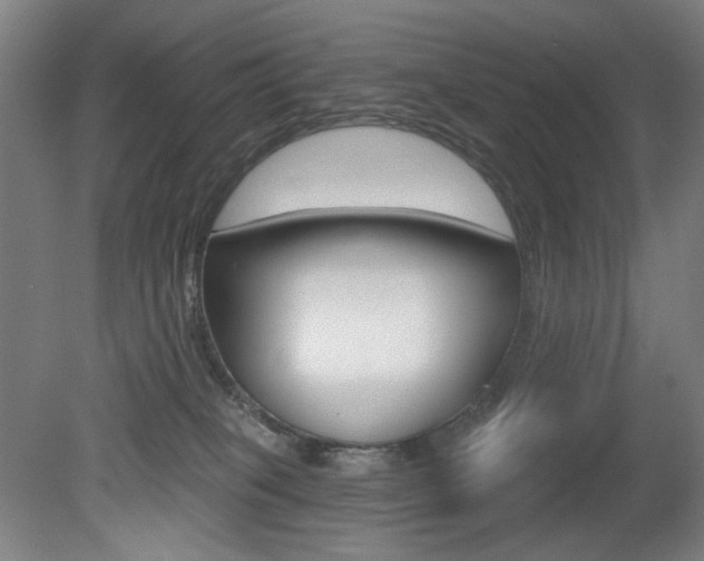 X0000080740085200612150943