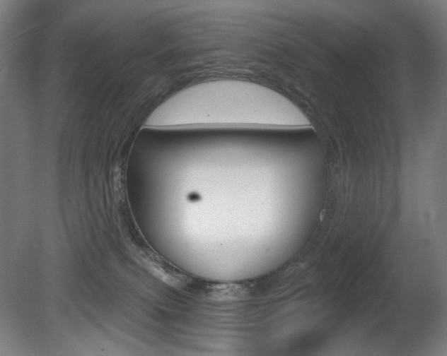 X0000080740087200612150943