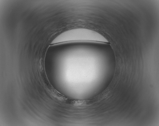 X0000080740088200612150943