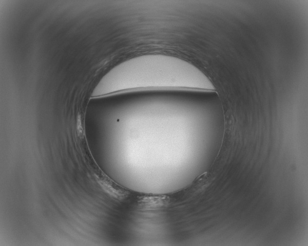 X0000080740089200612150943