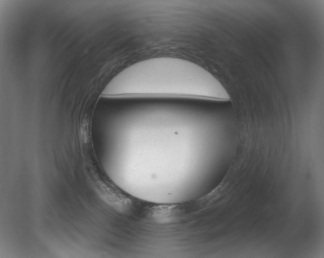 X0000080740090200612150943