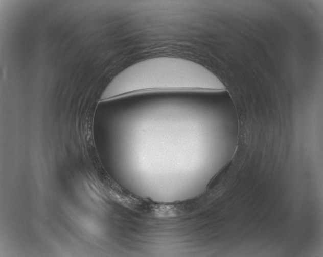 X0000080740091200612150943