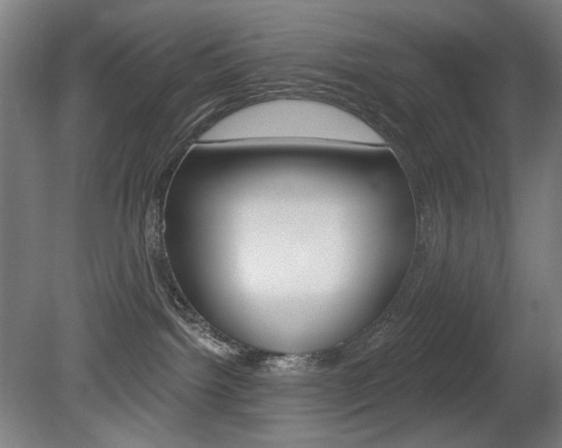 X0000080740092200612150943