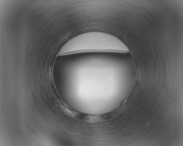 X0000080740093200612150943