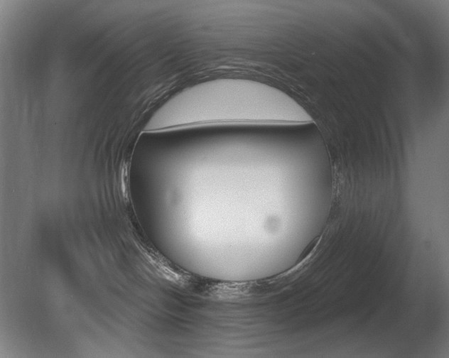 X0000080740094200612150943