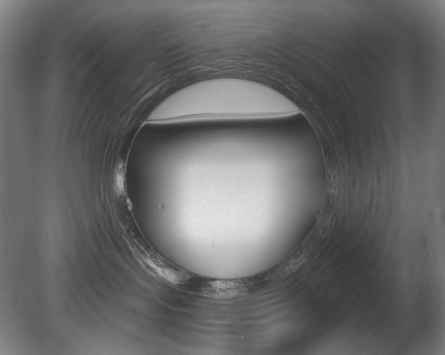 X0000080740095200612150943