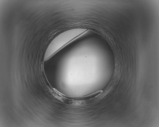 X0000080740096200612150943