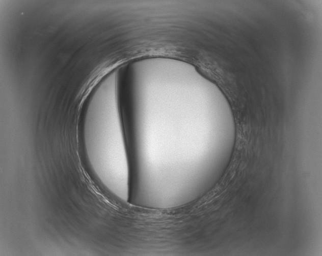 X0000080740098200612150942