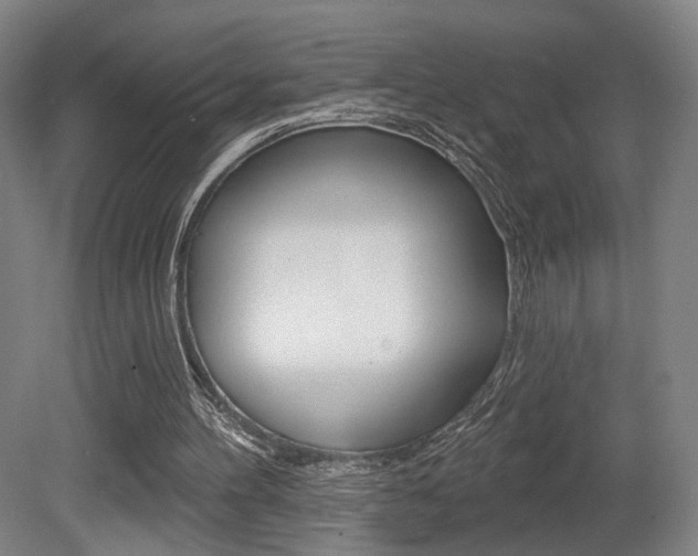 X0000080740100200612150942
