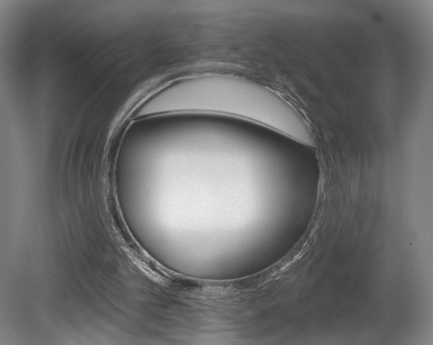 X0000080740101200612150942