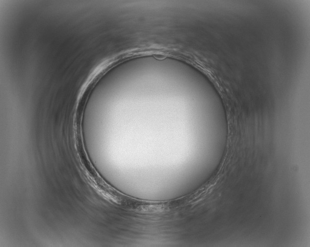 X0000080740102200612150942