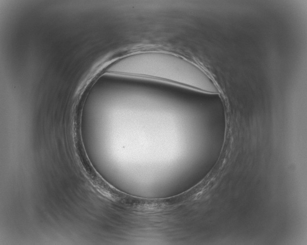 X0000080740103200612150942