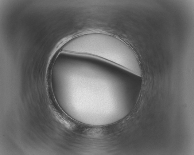 X0000080740104200612150942
