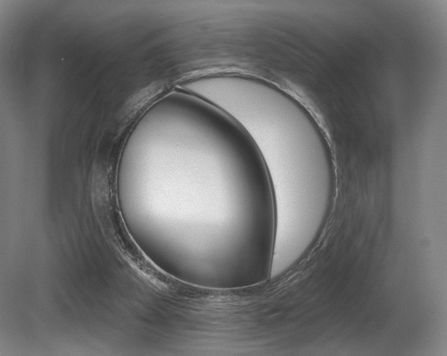 X0000080740105200612150942