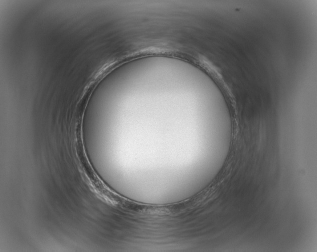 X0000080740106200612150942