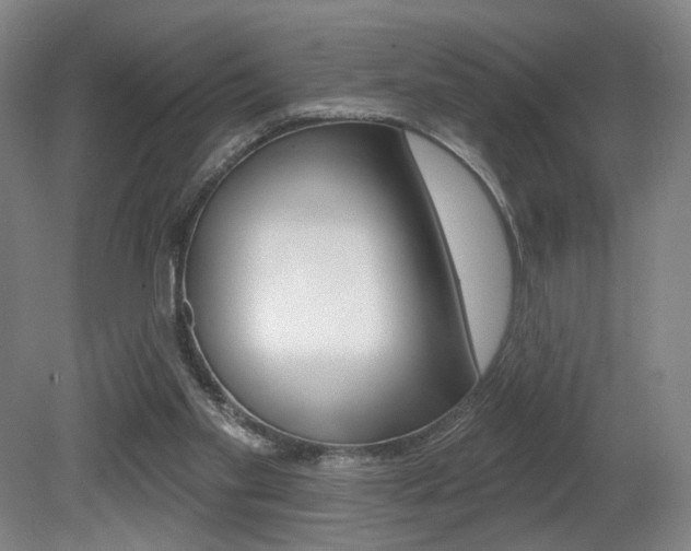 X0000080740109200612150942