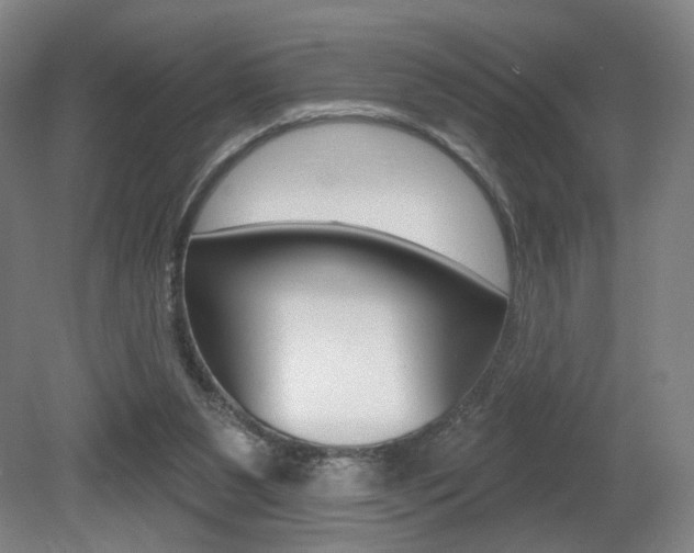 X0000080740111200612150942