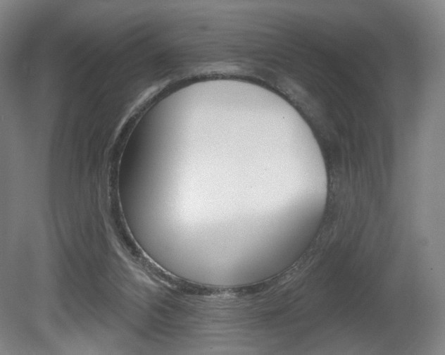 X0000080740112200612150942