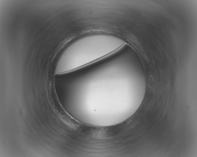 X0000080740116200612150942
