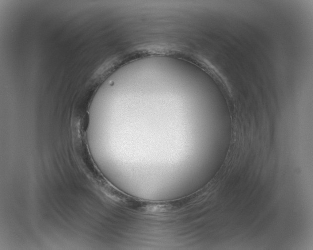 X0000080740117200612150942