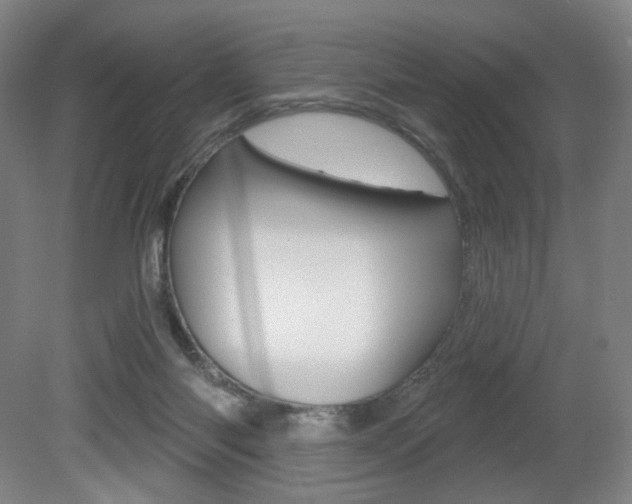 X0000080740118200612150942