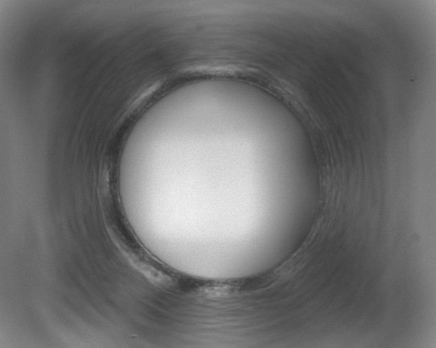 X0000080740120200612150942