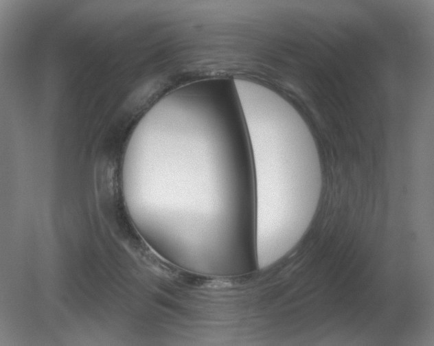 X0000080740123200612150942