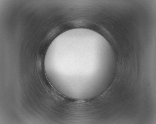 X0000080740124200612150942