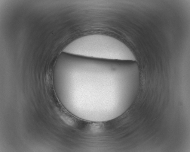 X0000080740126200612150942