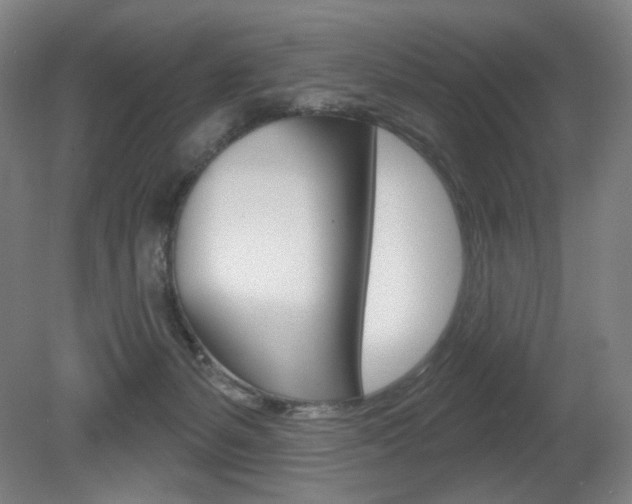 X0000080740127200612150942