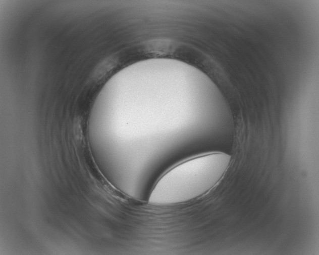 X0000080740128200612150942