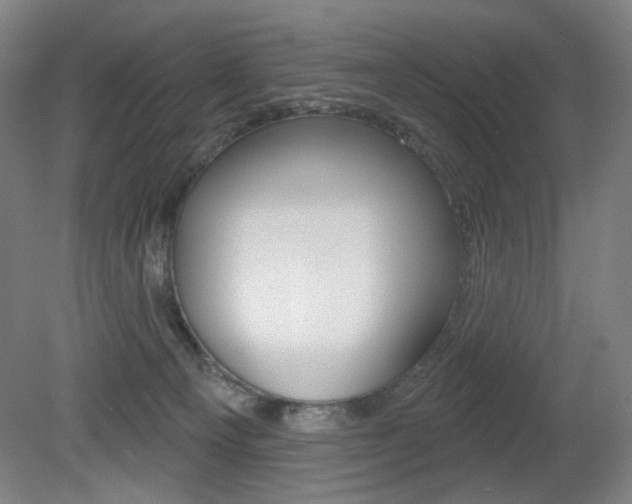 X0000080740129200612150942