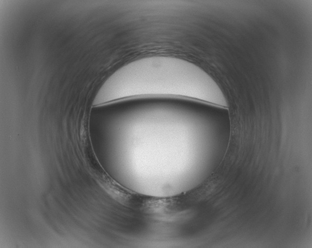 X0000080740131200612150942