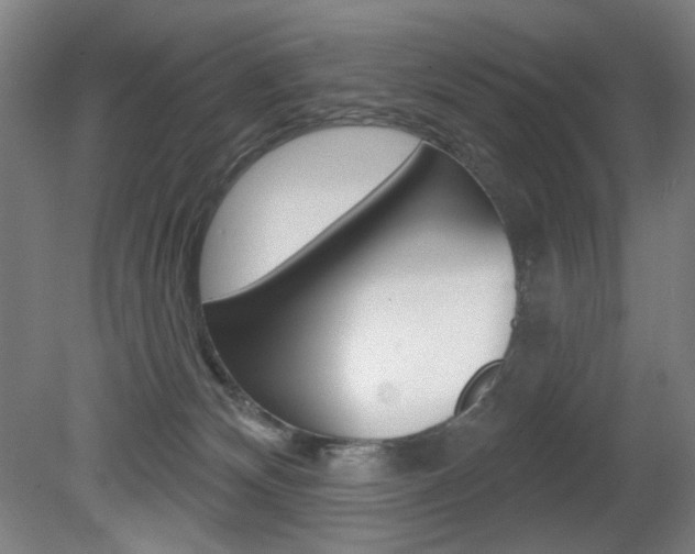 X0000080740132200612150942