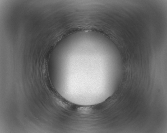 X0000080740133200612150942