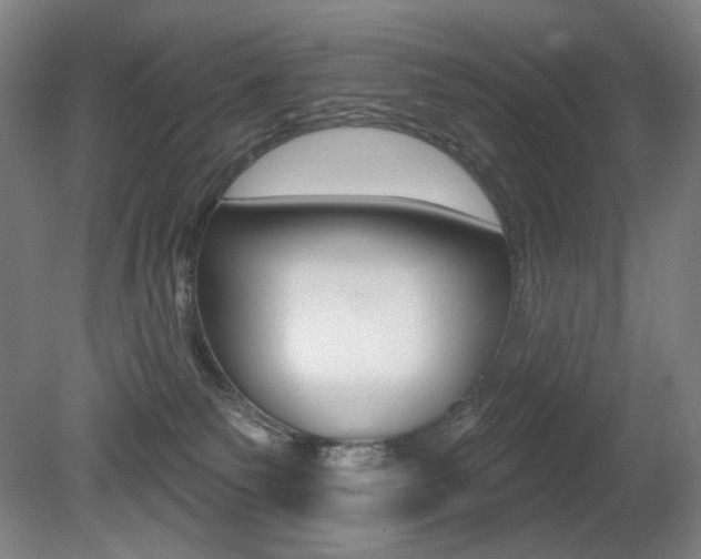 X0000080740135200612150942