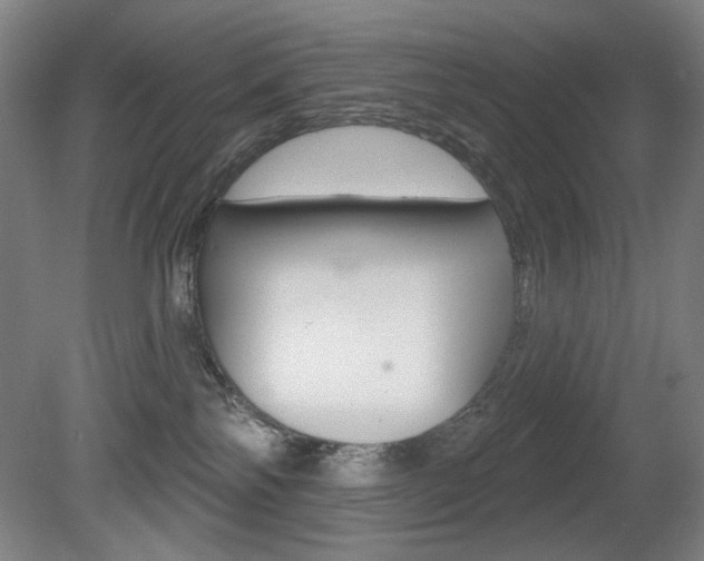 X0000080740138200612150942