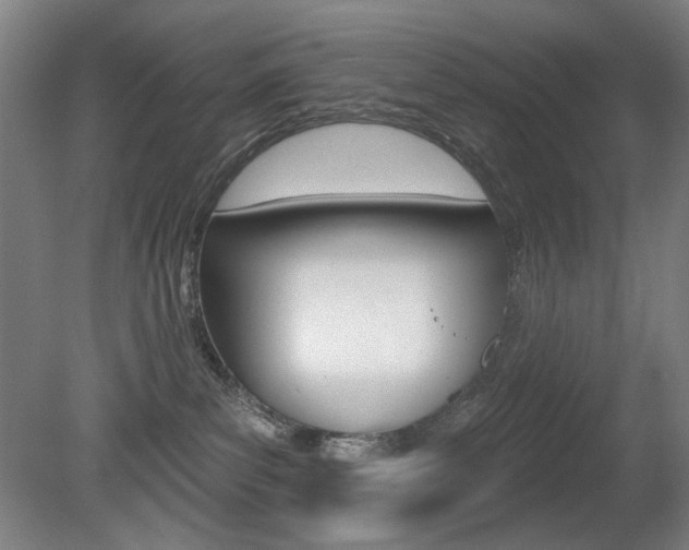X0000080740139200612150942
