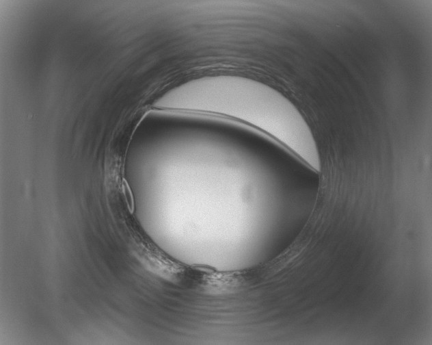 X0000080740141200612150942