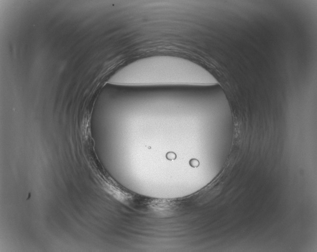 X0000080740142200612150942