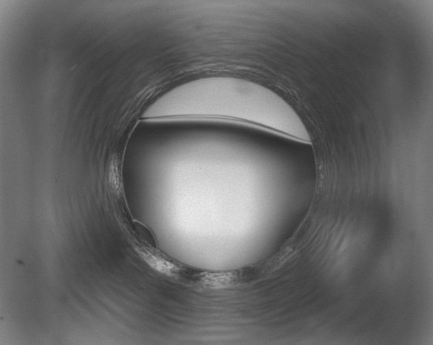 X0000080740143200612150942